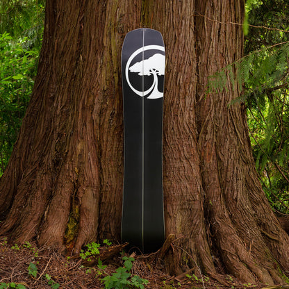Landmark Splitboard Camber