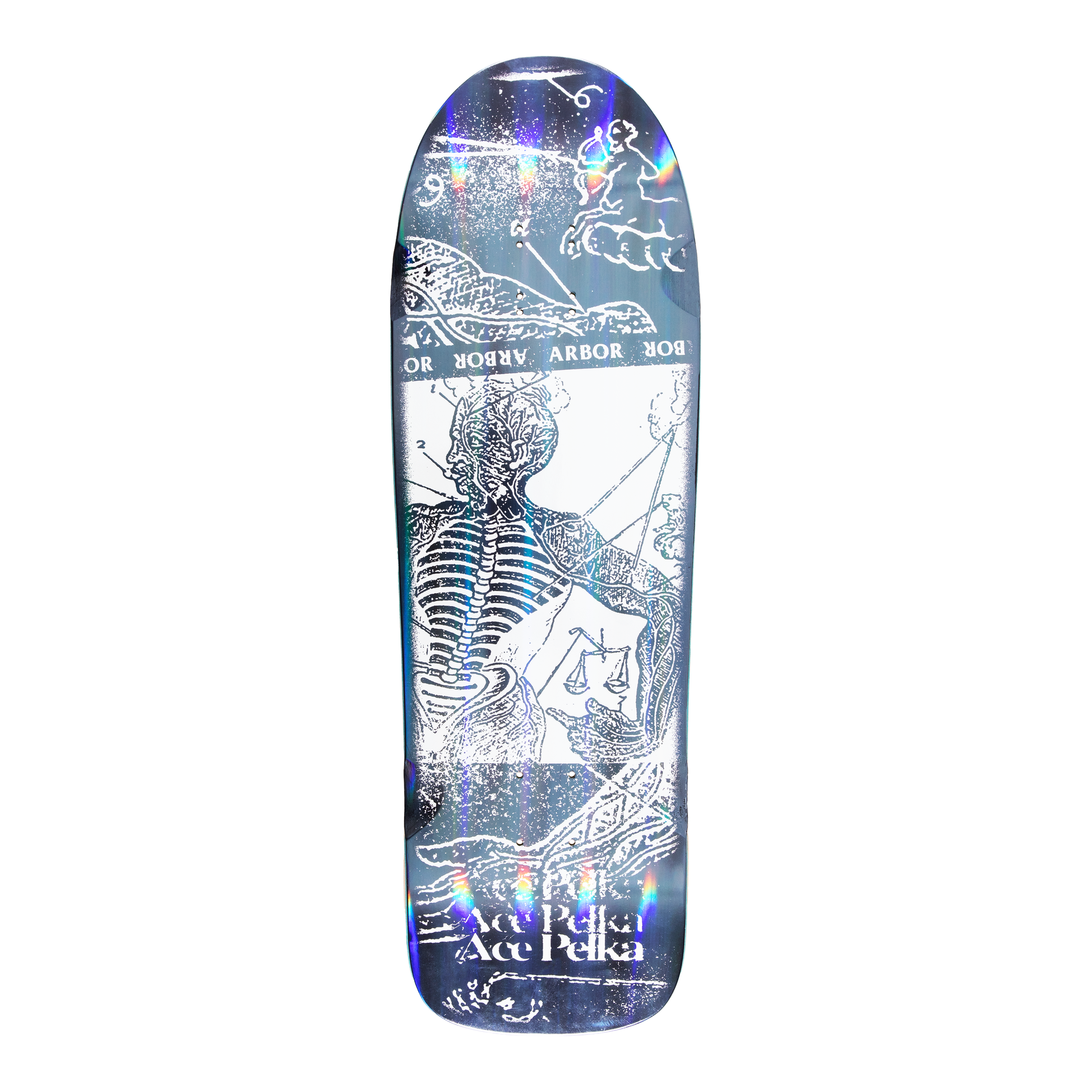 Ace Pelka Anatomy 9.75