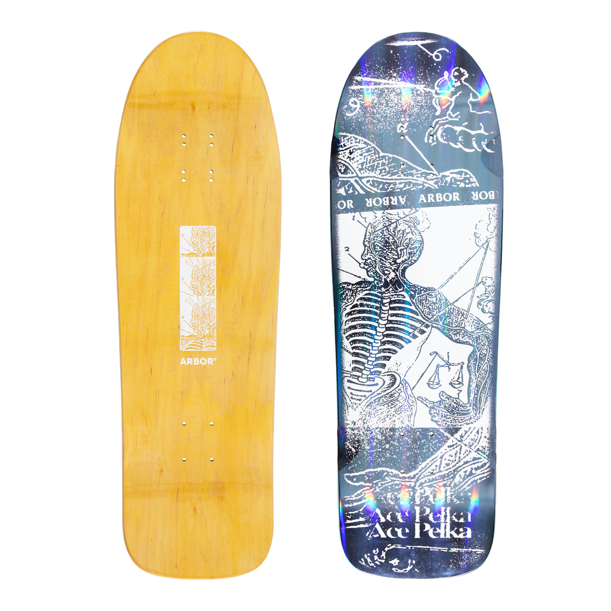 Ace Pelka Anatomy 9.75