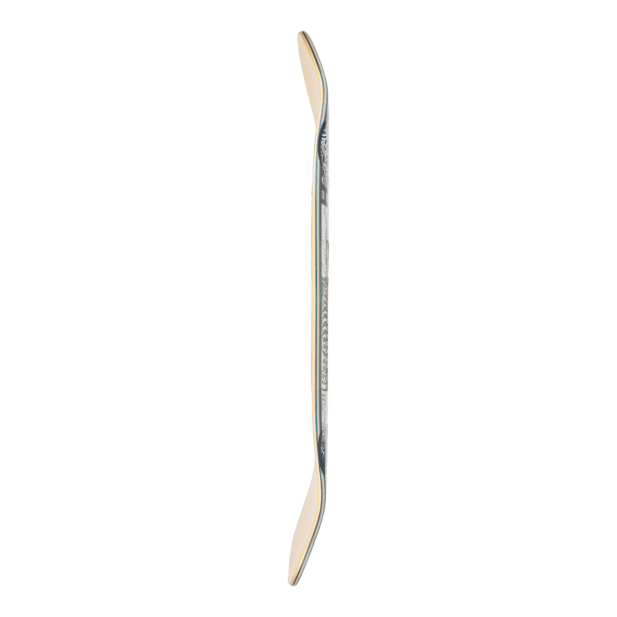 Ace Pelka Anatomy 9.75