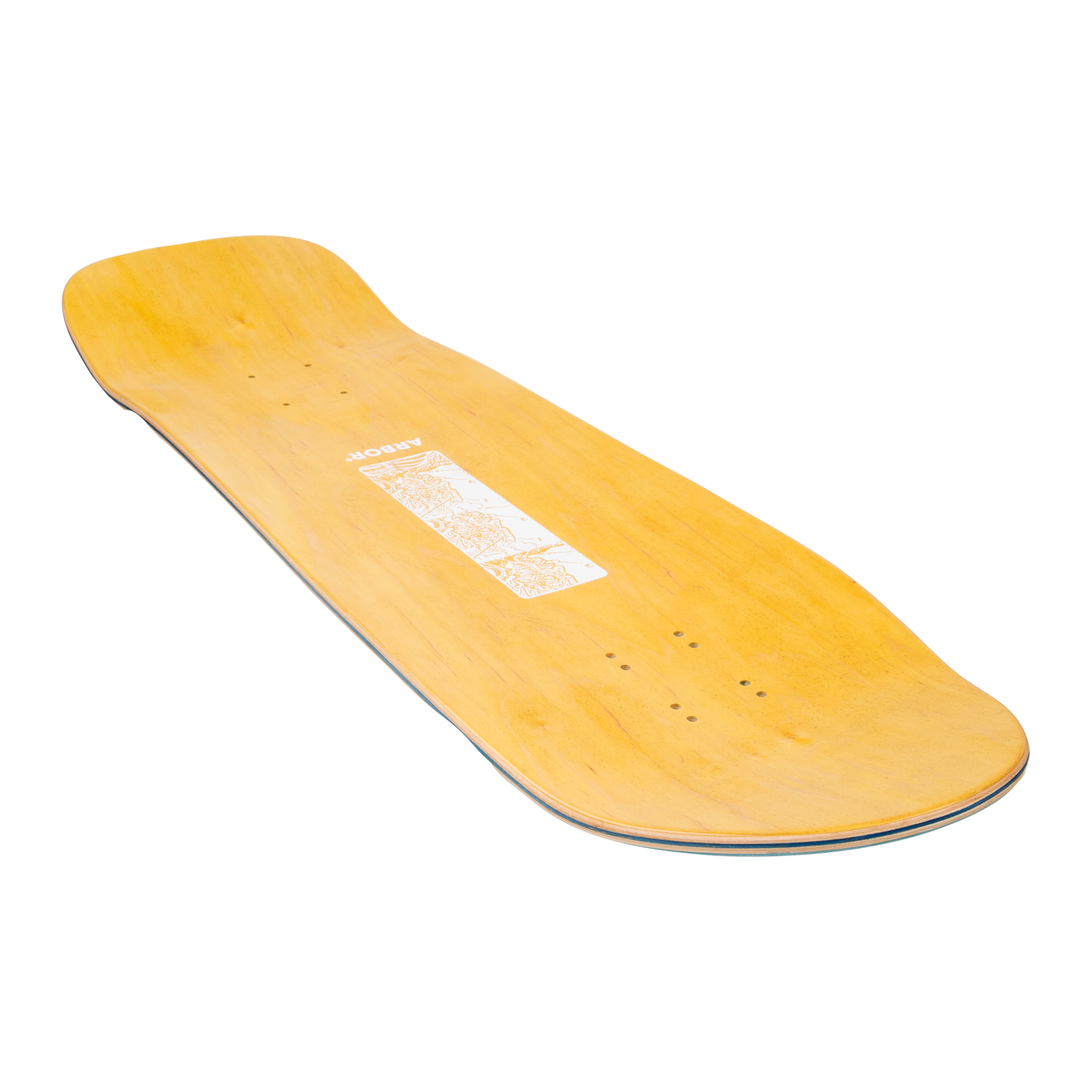 Ace Pelka Anatomy 9.75