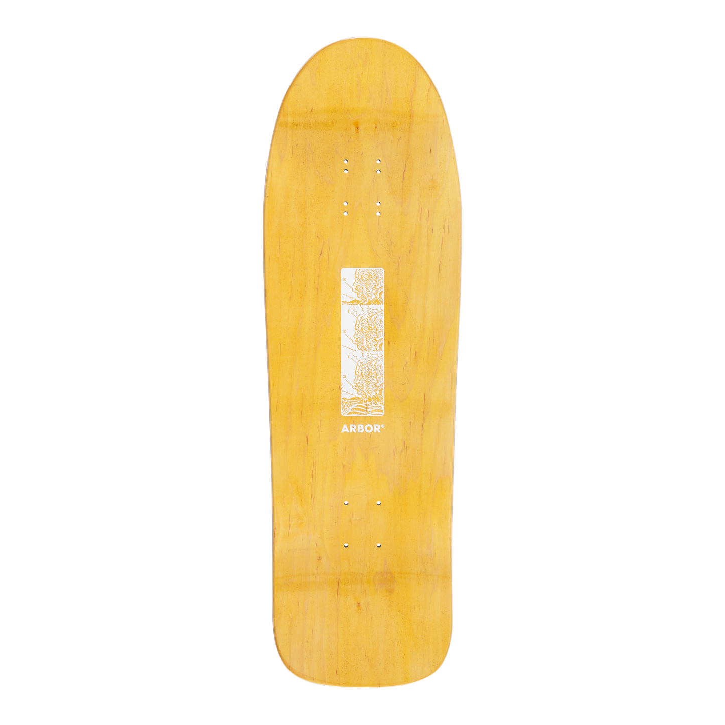 Ace Pelka Anatomy 9.75