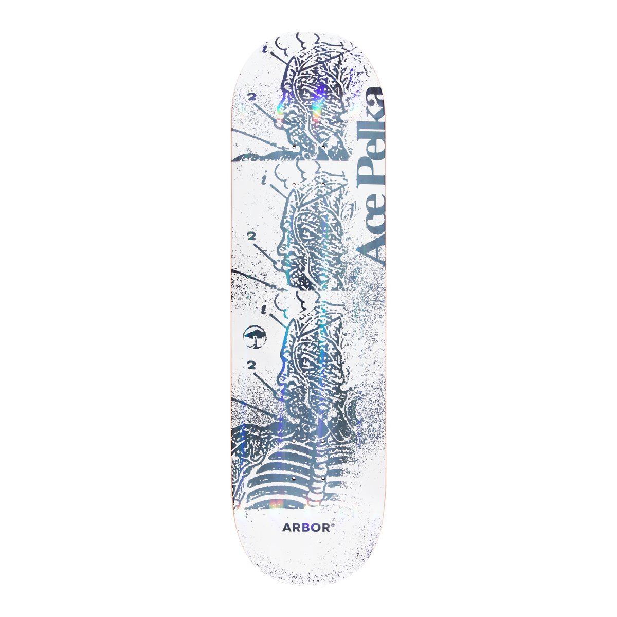 Ace Pelka Anatomy 8.75