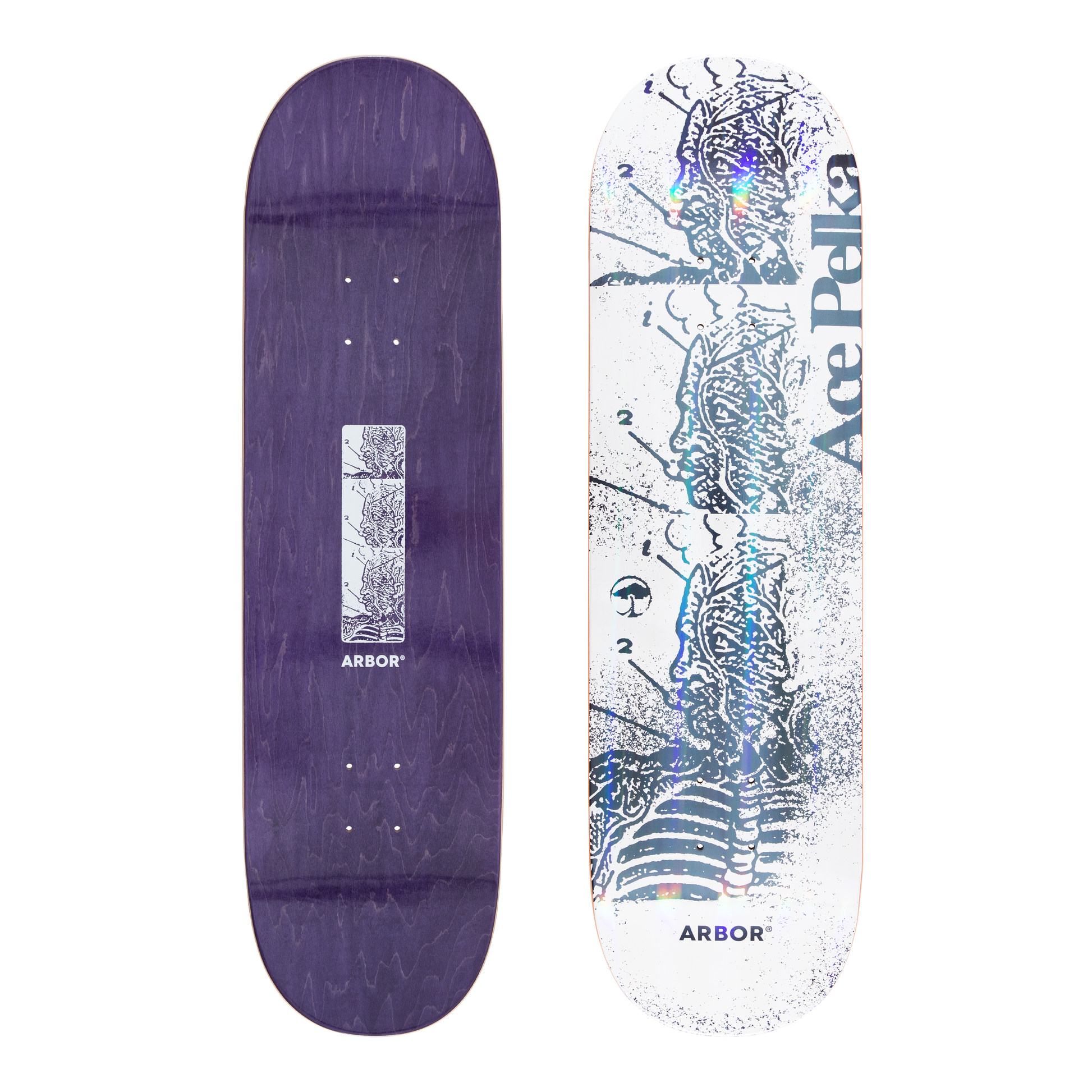 Ace Pelka Anatomy 8.75