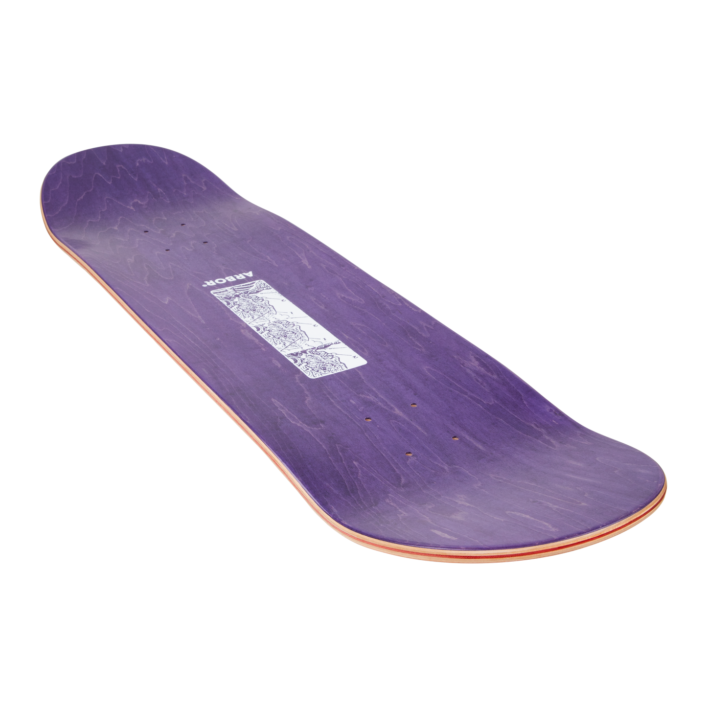 Ace Pelka Anatomy 8.75