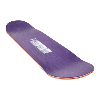 Ace Pelka Anatomy 8.75