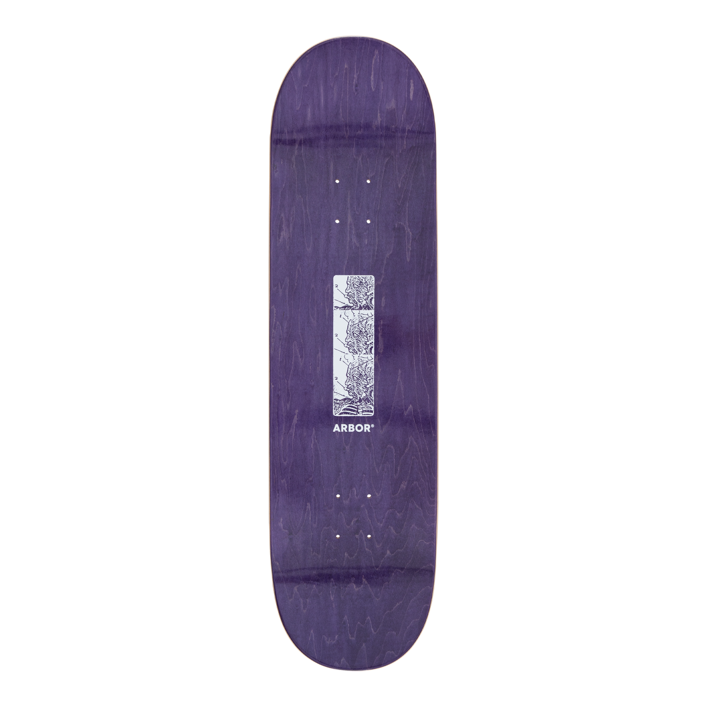 Ace Pelka Anatomy 8.75