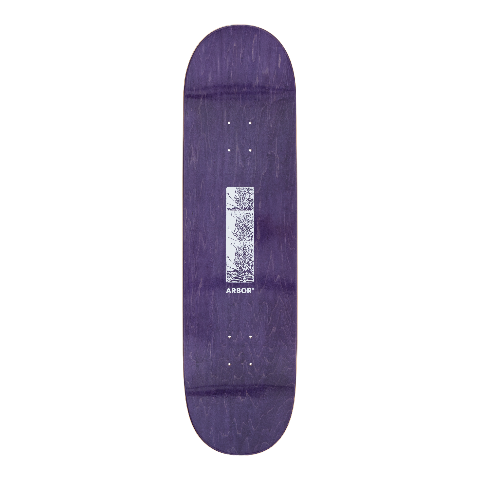 Ace Pelka Anatomy 8.75