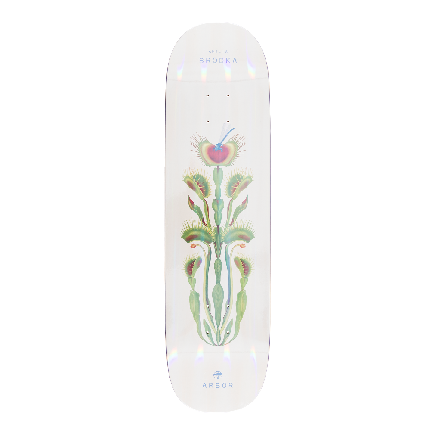 Amelia Brodka Venus 8.5