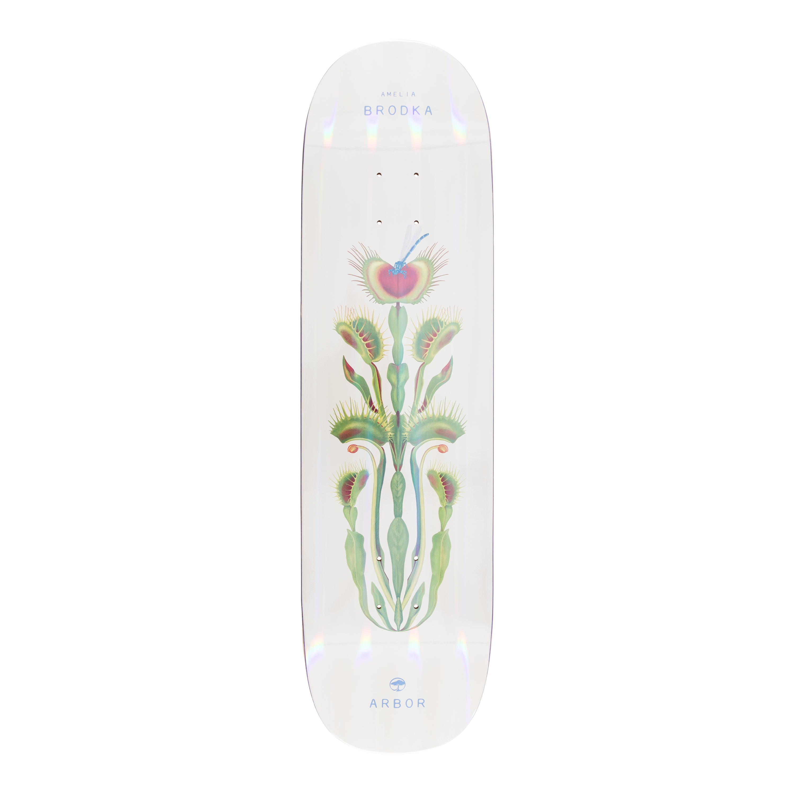 Amelia Brodka Venus 8.5