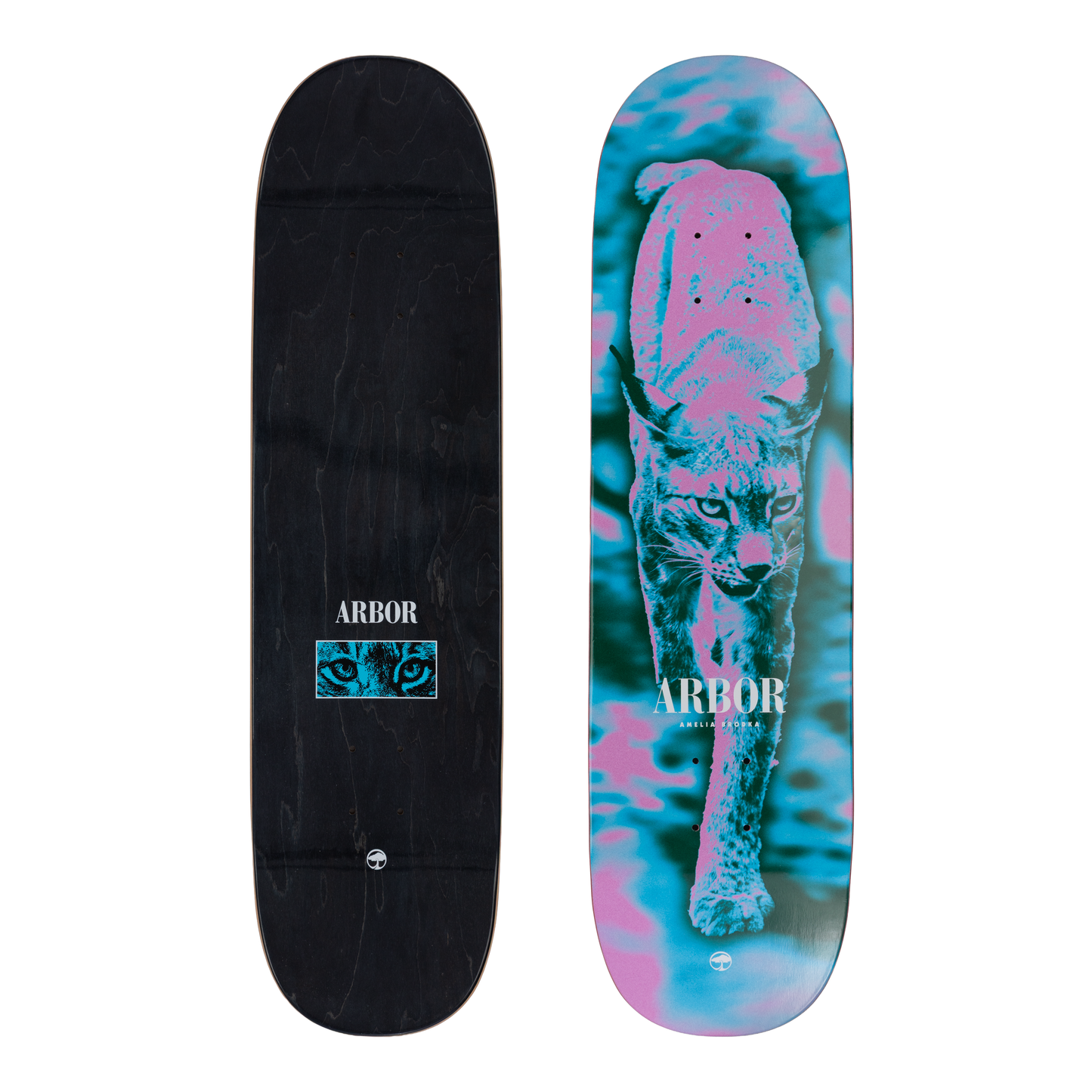 Amelia Brodka Wildcat 8.5