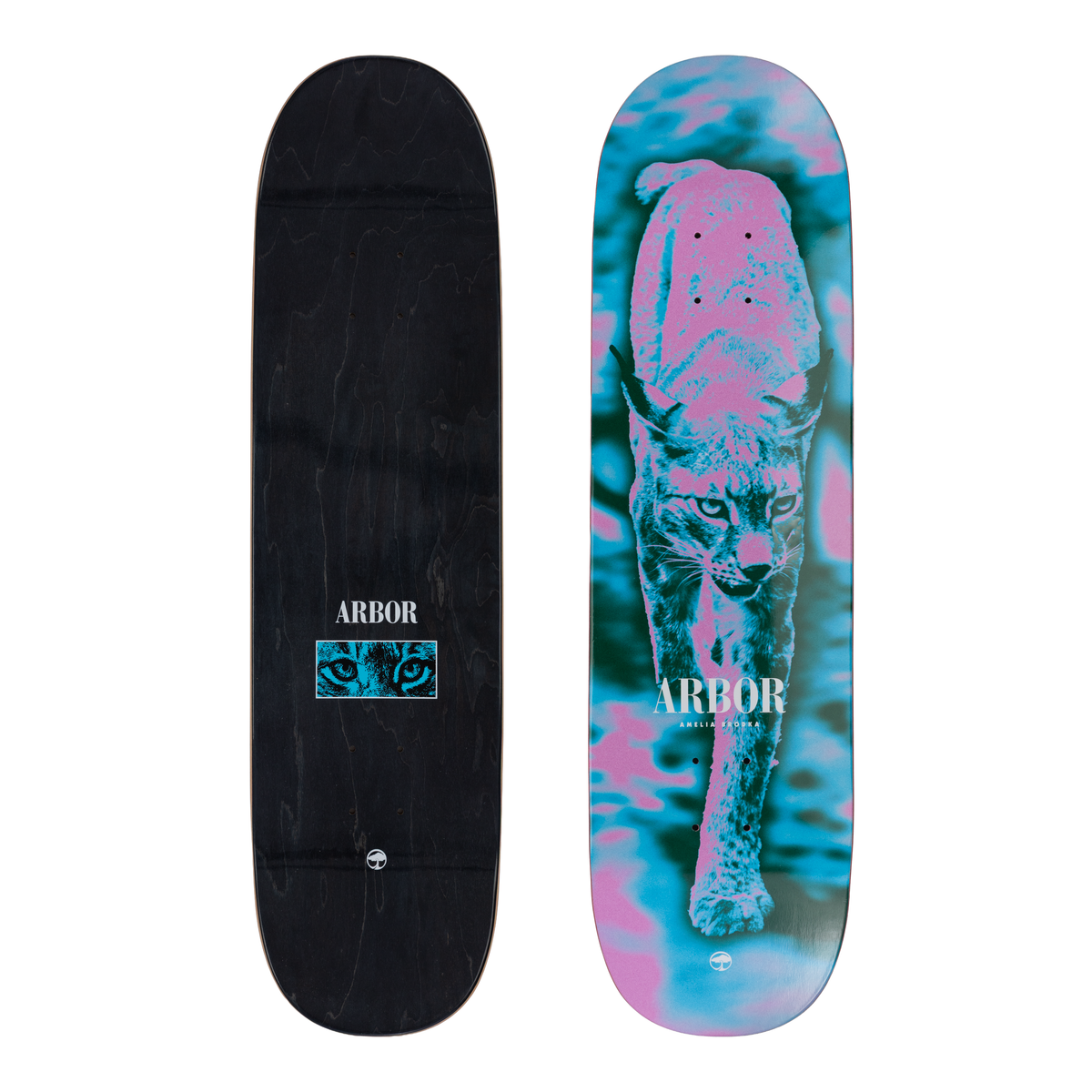 Amelia Brodka Wildcat 8.5