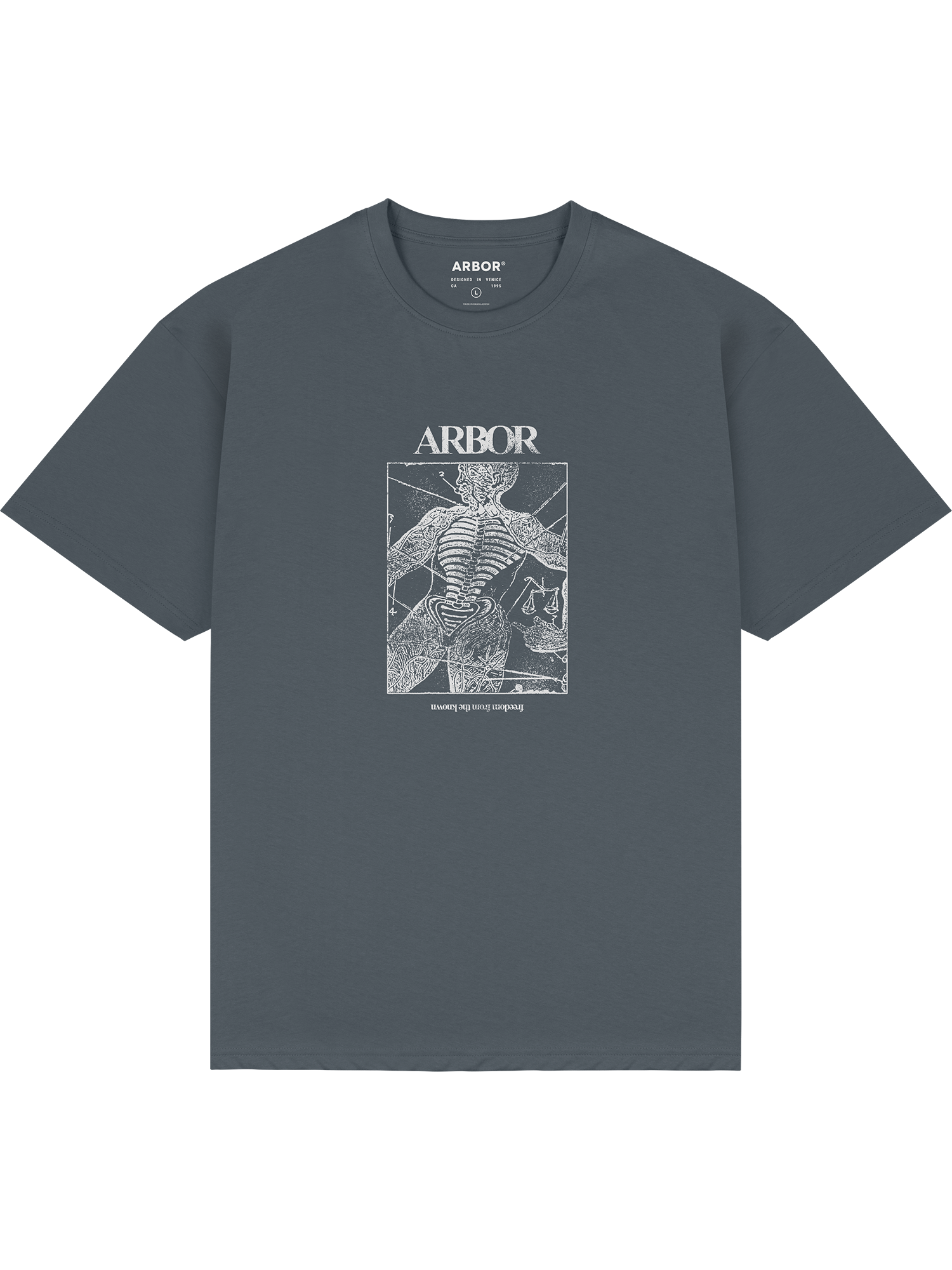 Anatomy T-Shirt - Charcoal / Glow