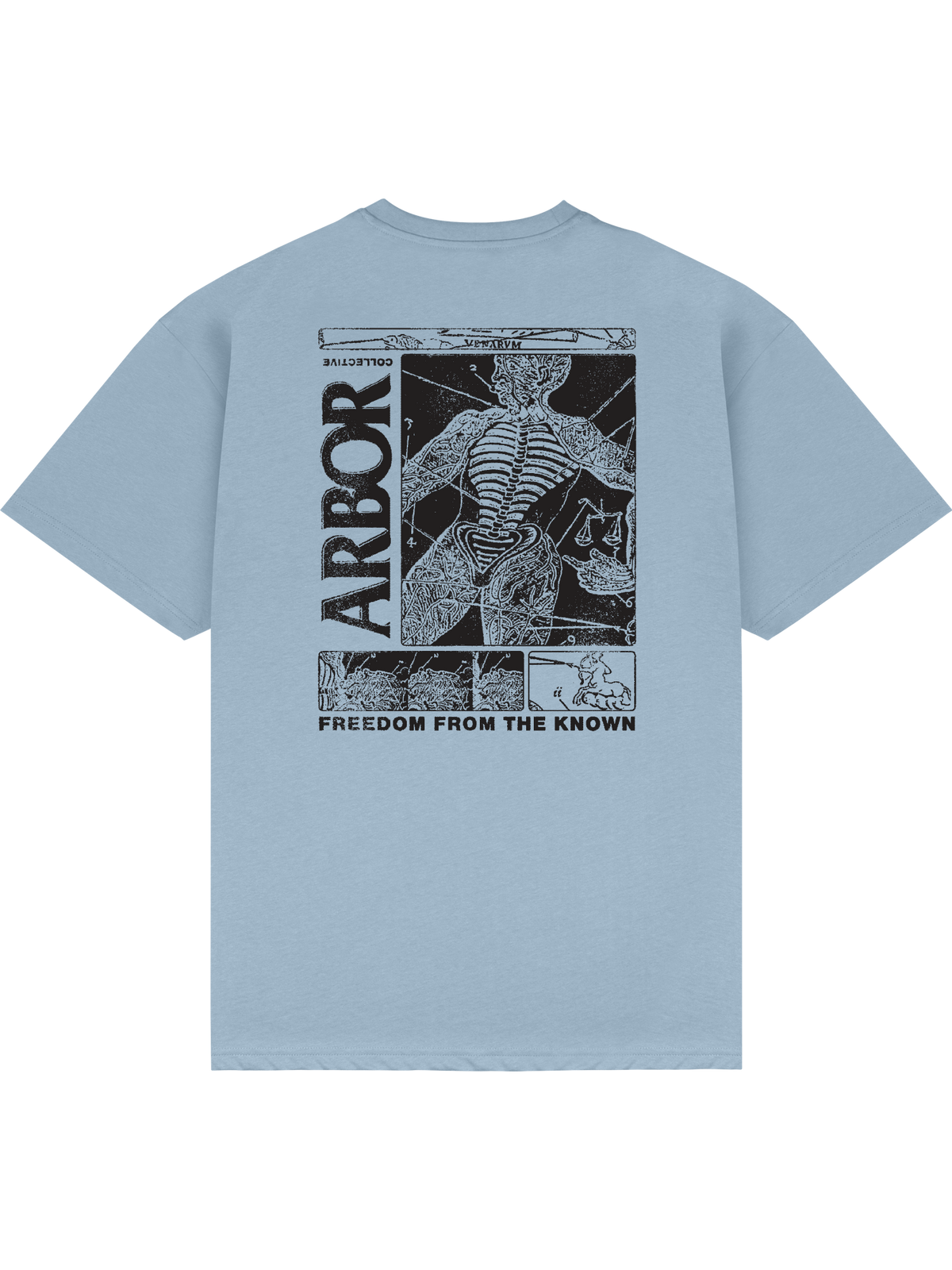 Anatomy T-Shirt - Sky Blue