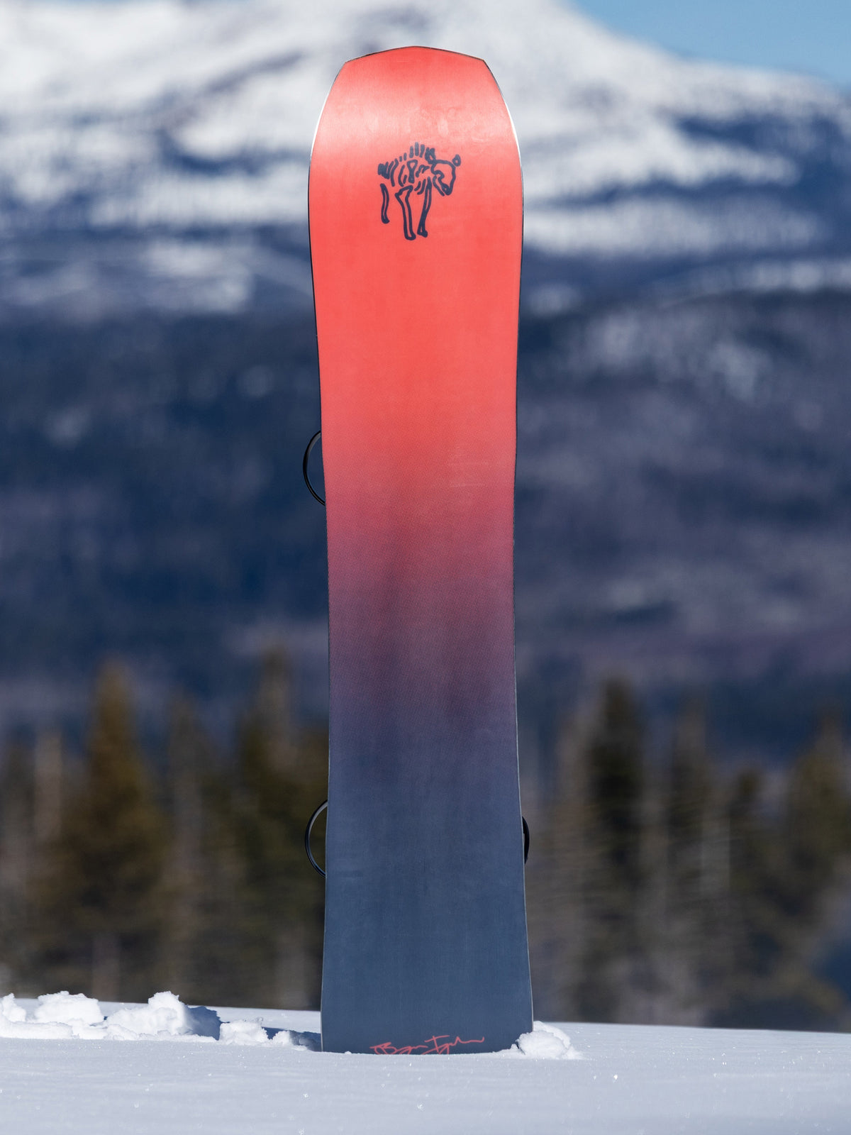 Bryan Iguchi Pro Snowboard